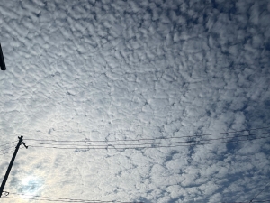 エコクラフト♡