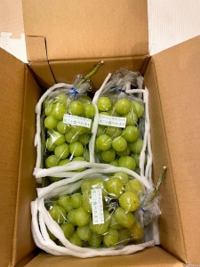 おススメします！！