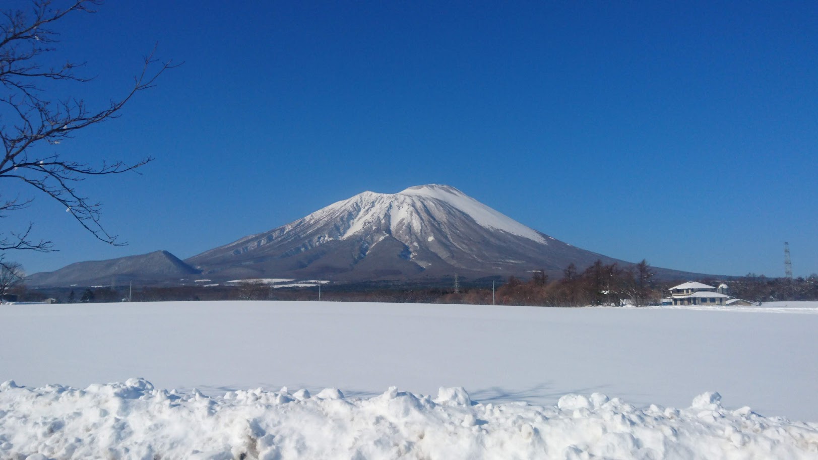 今年も大変お世話になりました