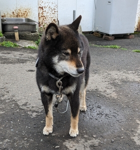 PXL_20240603_073234844~2